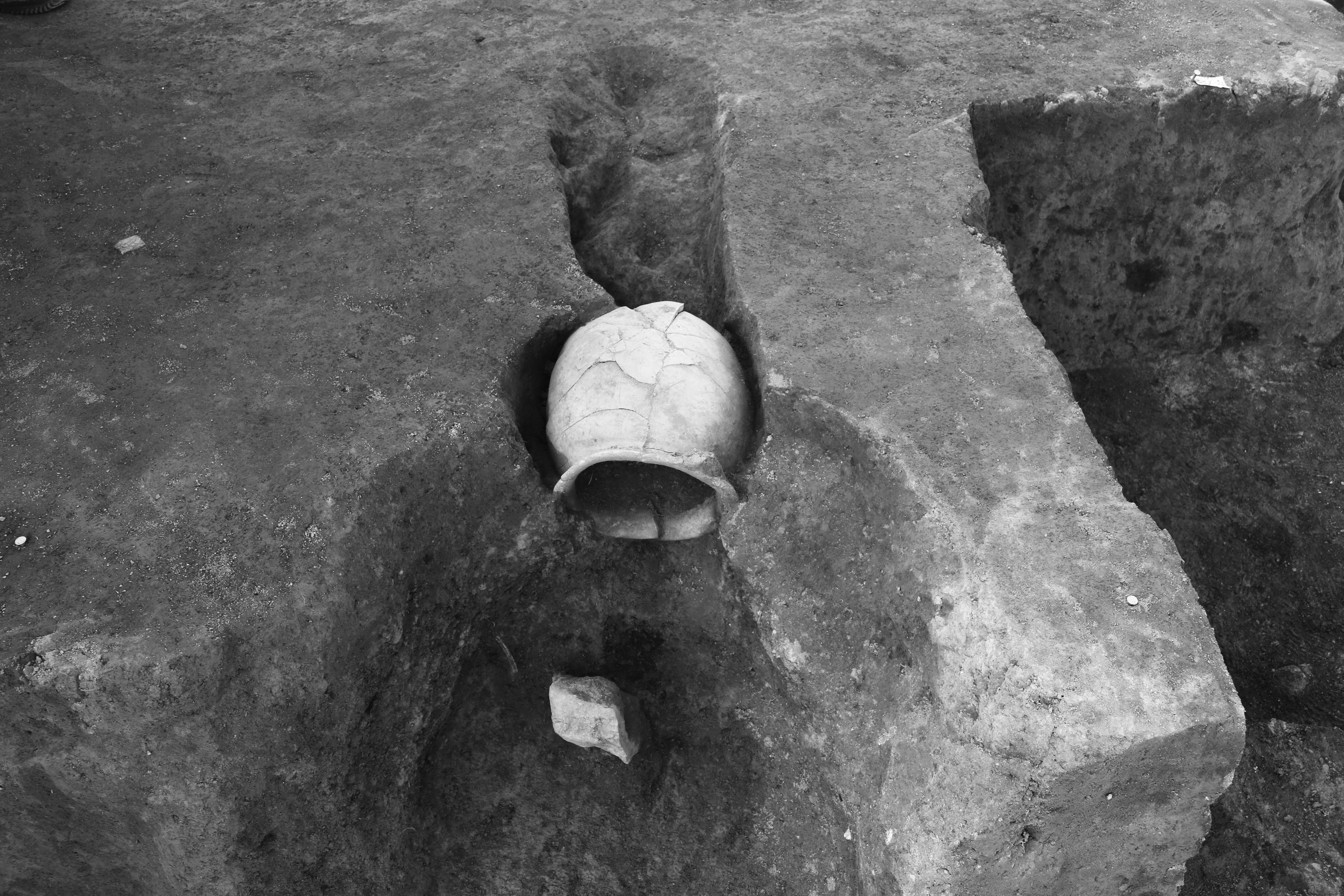 前津中ノ玉遺跡